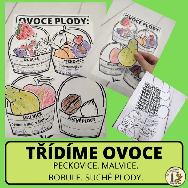 OVOCE - TŘÍDÍME PLODY