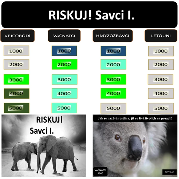 RISKUJ! Savci I.