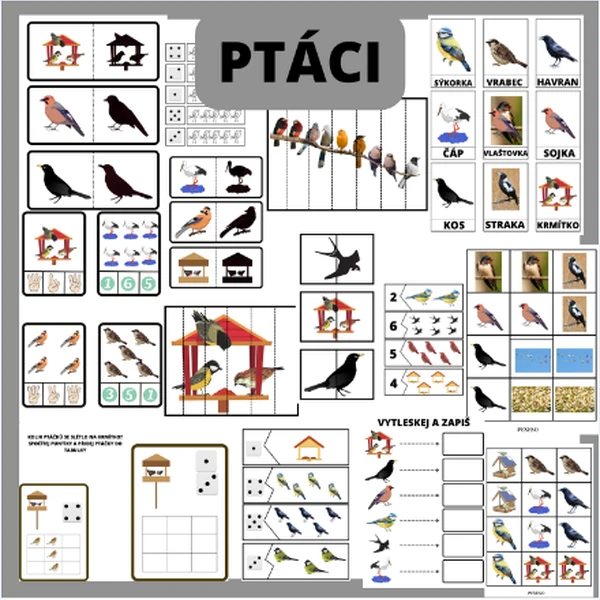 PTÁCI
