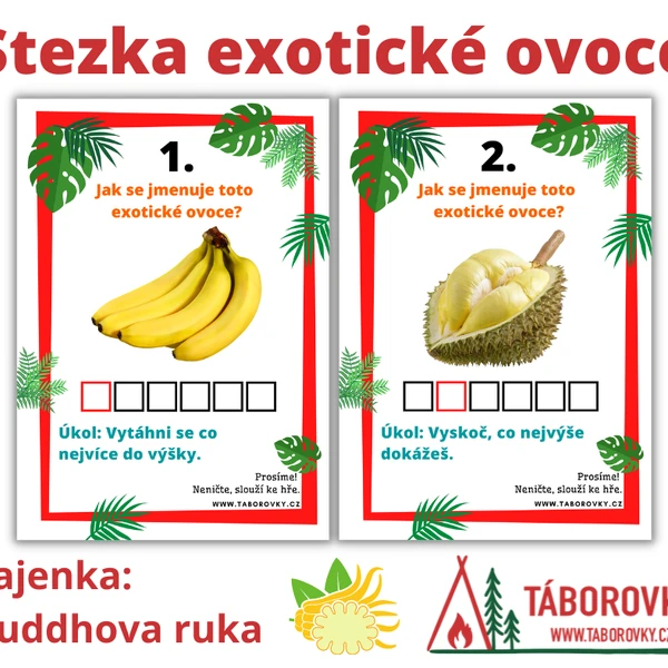 Stezka - exotické ovoce