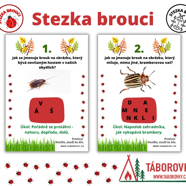 Stezka - brouci