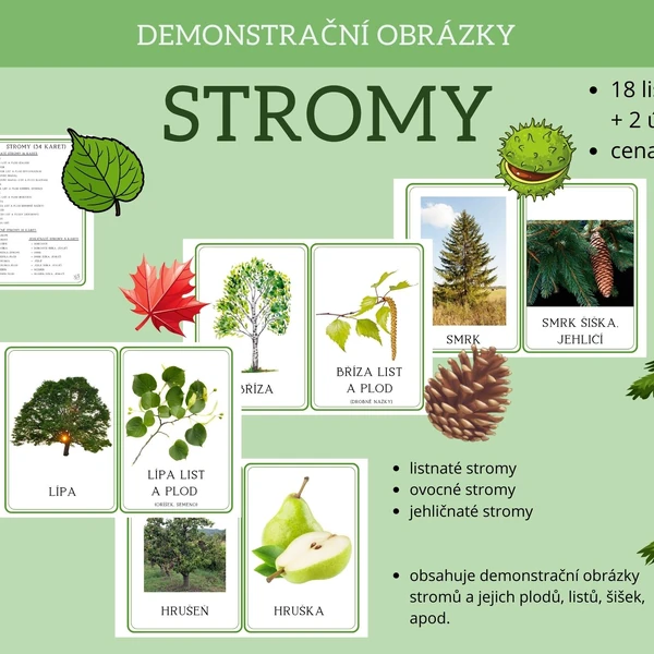 STROMY - demonstrační obrázky
