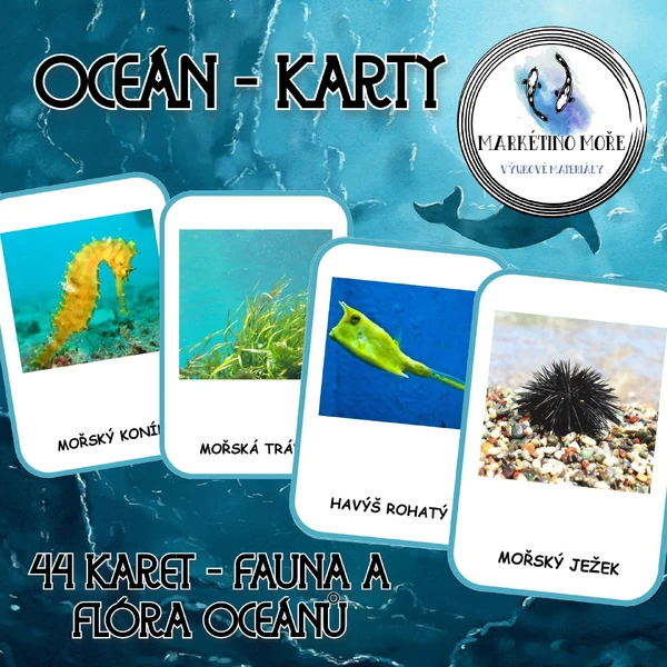 Oceán - karty