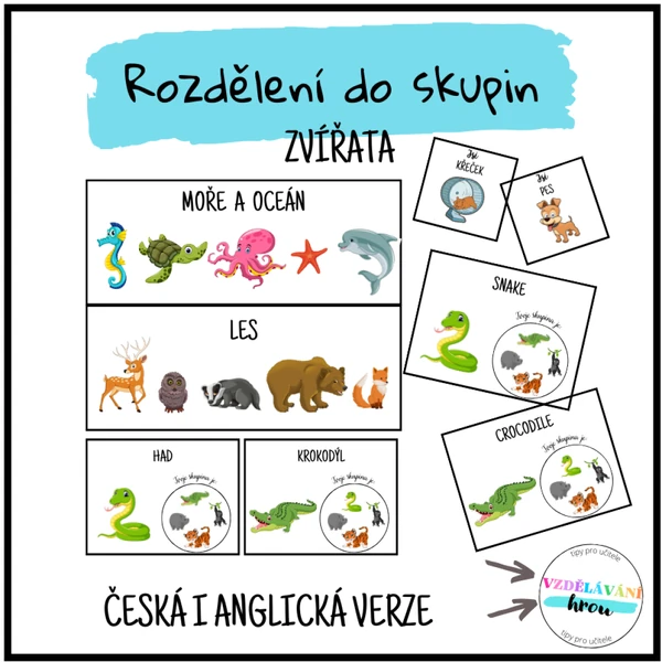 Rozdělení do skupin - ZVÍŘATA (česky i anglicky)