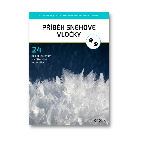 Příběh sněhové vločky (adventní stopovačka)