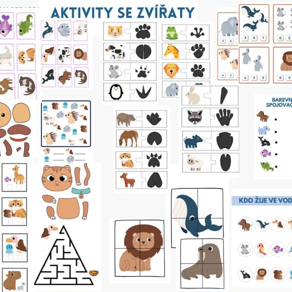 Aktivity se zvířaty