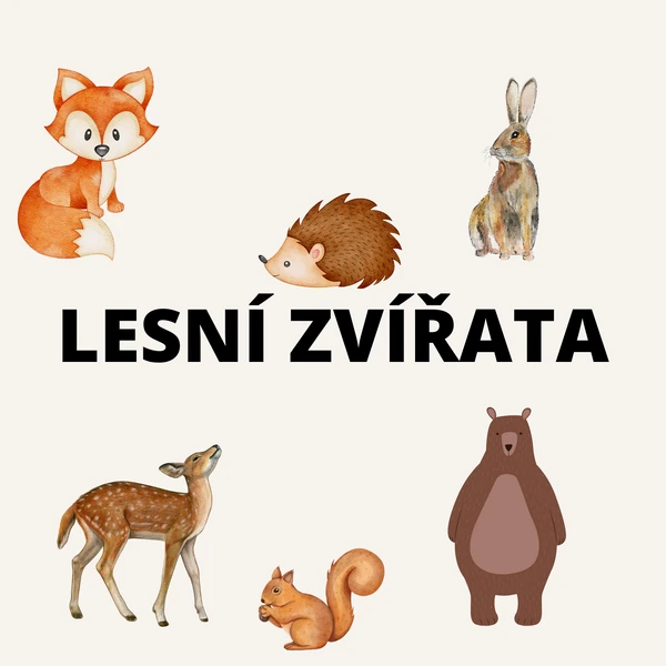 Lesní zvířata