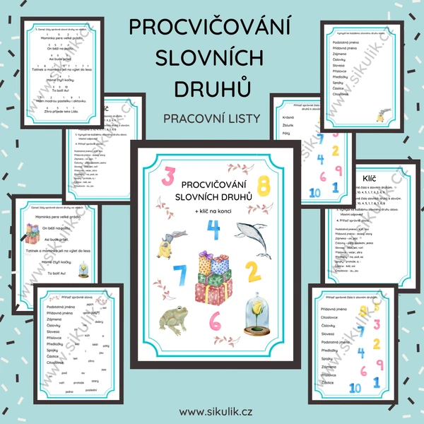 PROCVIČOVÁNÍ SLOVNÍCH DRUHŮ
