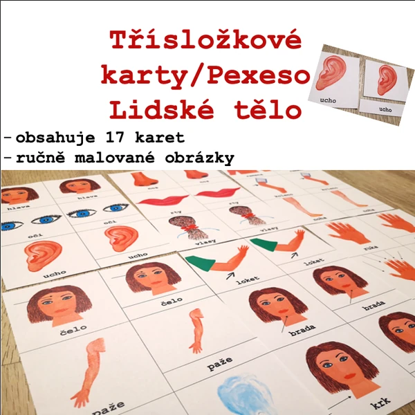 Třísložkové karty/Pexeso - Lidské tělo