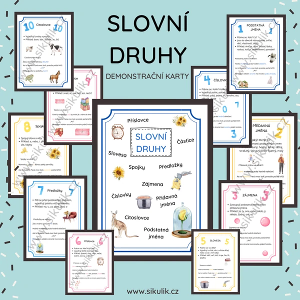 SLOVNÍ DRUHY DEMONSTRAČNÍ KARTY