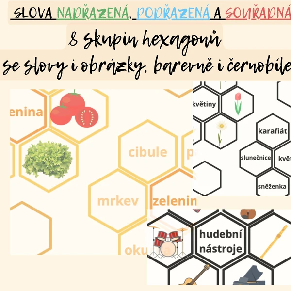 Slova nadřazená, podřazená a souřadná