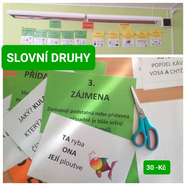 SLOVNÍ DRUHY