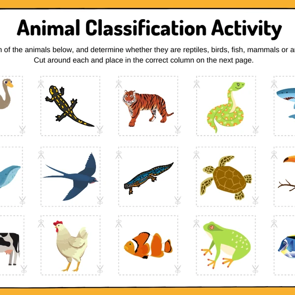 CLIL - animal classification activity