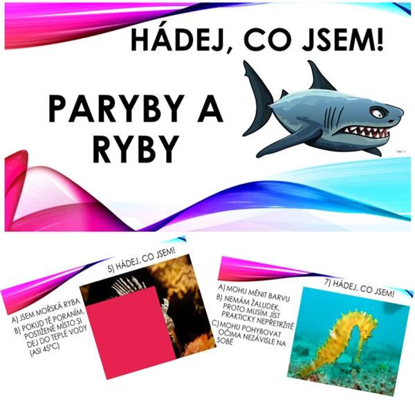 Hádej, co jsem! Paryby a ryby