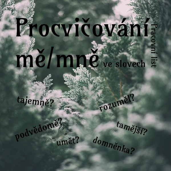 Pracovní list - procvičování mě/mně ve slovech