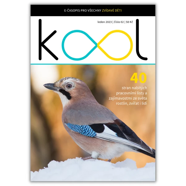 KOOL 01/23 (e-časopis)