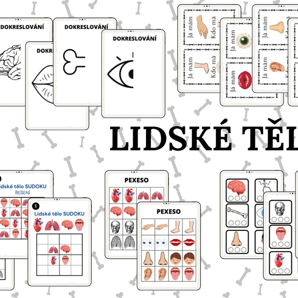 Lidské tělo