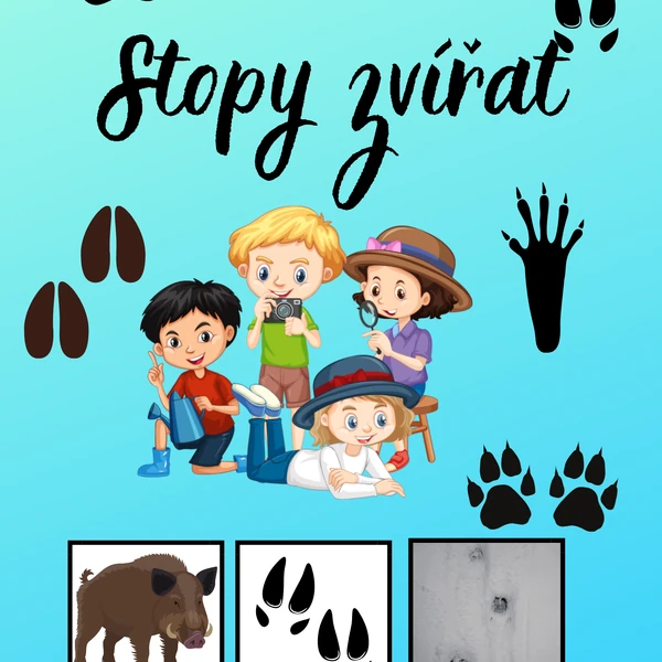 🐾🔎 STOPY 🔎🐾