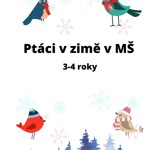Ptáci v zimě v MŠ