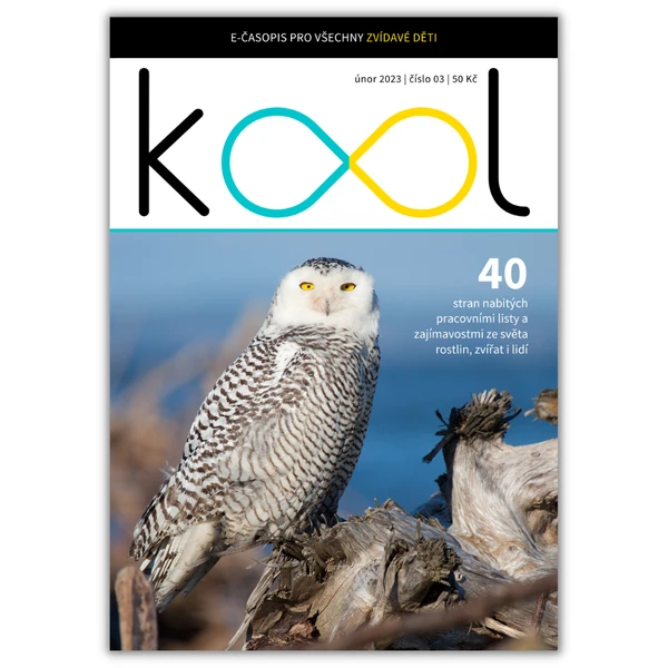 KOOL 02/23 (e-časopis)