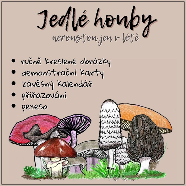Jedlé houby- kalendář, pexeso, karty aj.