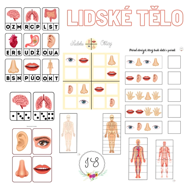 Lidské tělo