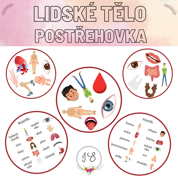 Lidské tělo - postřehovka
