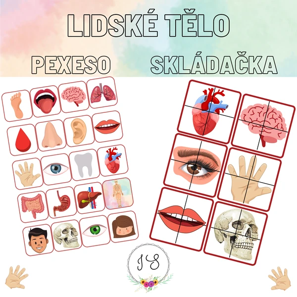 Lidské tělo- pexeso, skládačka