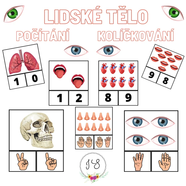 Lidské tělo - počítání, kolíčkování