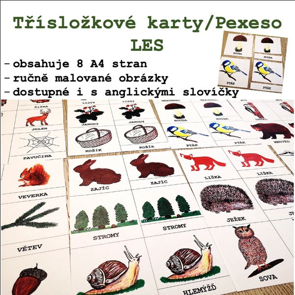 Třísložkové karty/Pexeso - LES