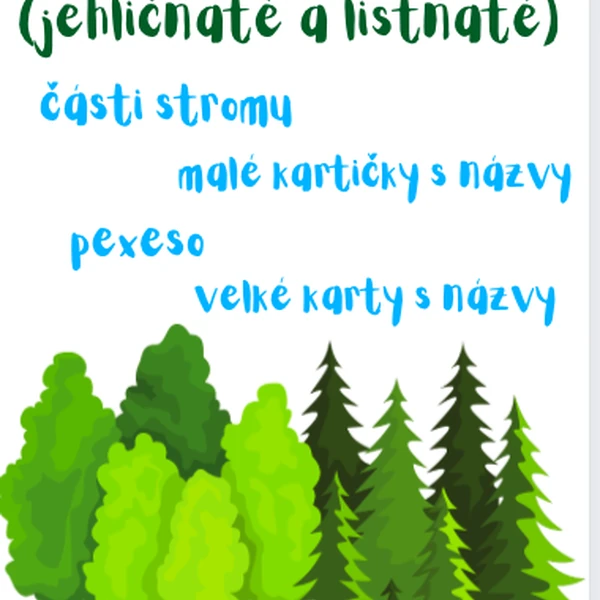 Stromy - jehličnaté a listnaté 