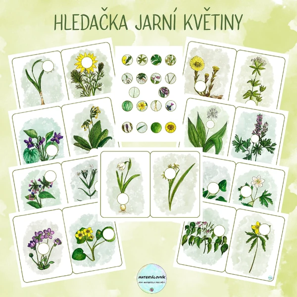 Jarní květiny - Hledačka