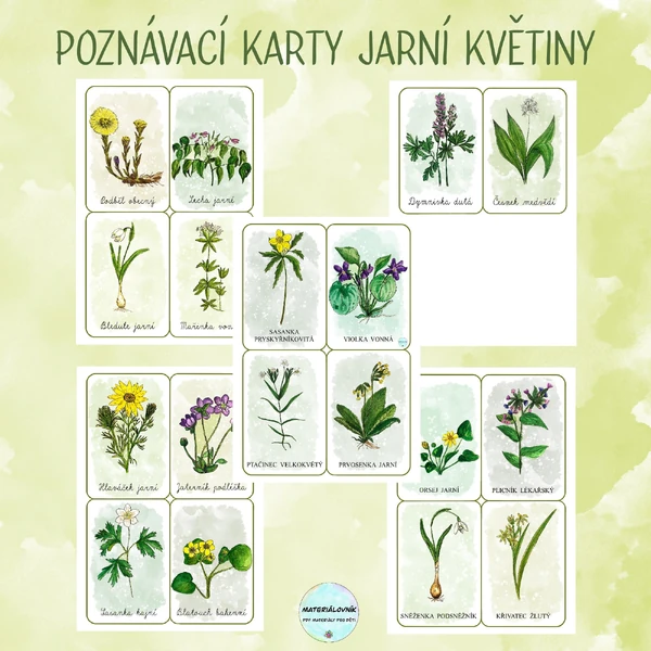 Jarní květiny - Poznávací karty
