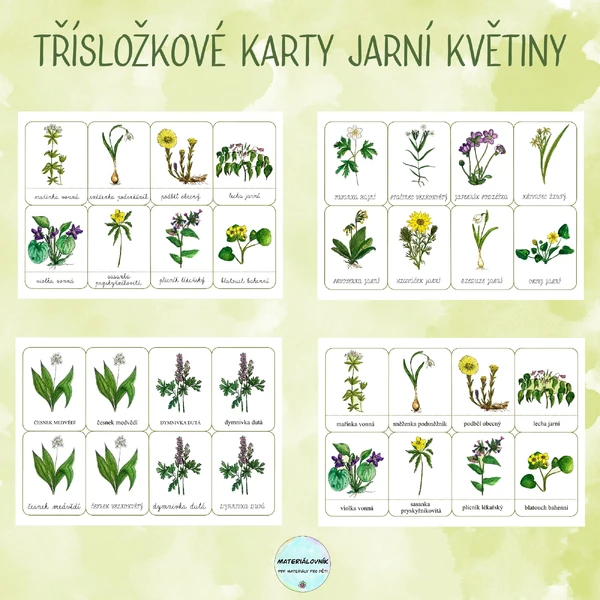 Jarní květiny - Třísložkové karty