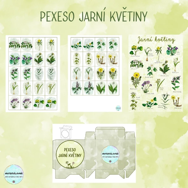 Jarní květiny - Pexeso