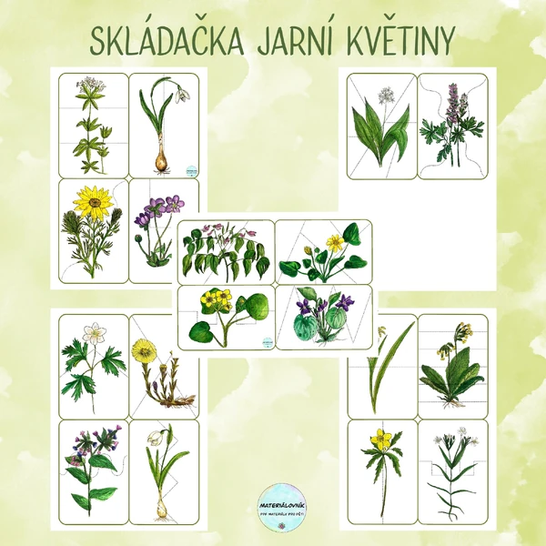 Jarní květiny - Skládačka