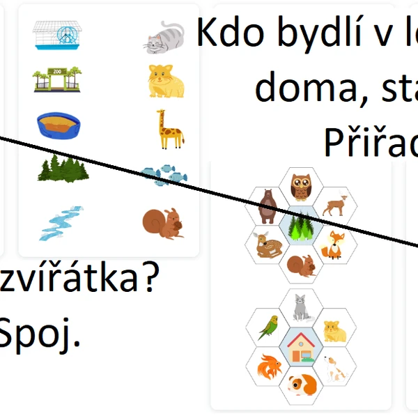 Kde žijí zvířátka? 