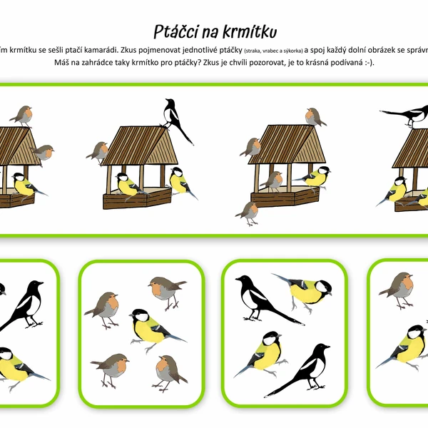 5+1 ptačích aktivit do škol(l)y i na doma (3-7 let)