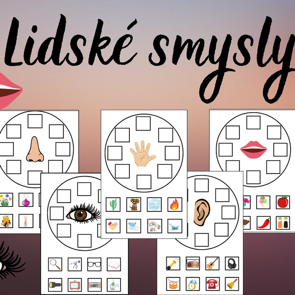Lidské smysly 