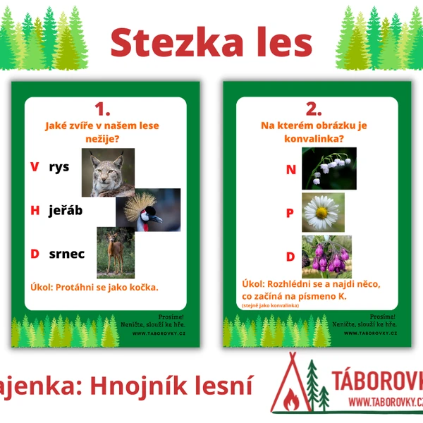 Stezka les