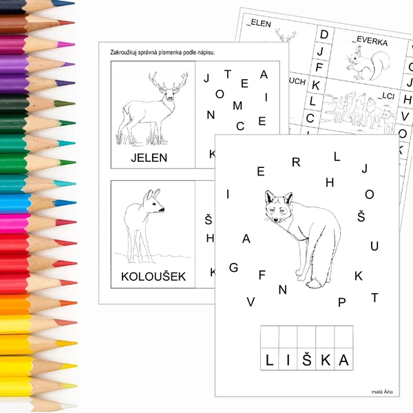 UČÍME SE PÍSMENKA - ZVÍŘÁTKA V LESE