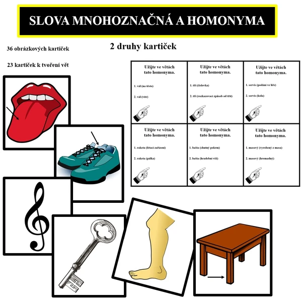 SLOVA MNOHOZNAČNÁ A HOMONYMA