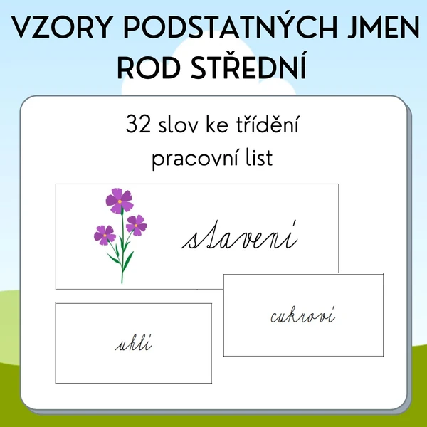 Vzory podstatných jmen - rod střední