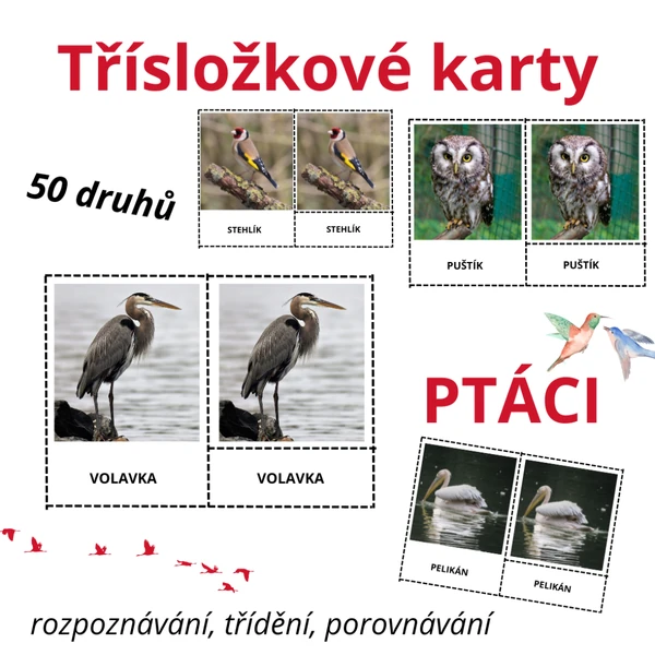 Třísložkové karty - PTÁCI (50 druhů)