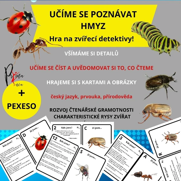 UČÍME SE POZNÁVAT HMYZ - hra na hmyzí detektivy - aktivita mimo lavice