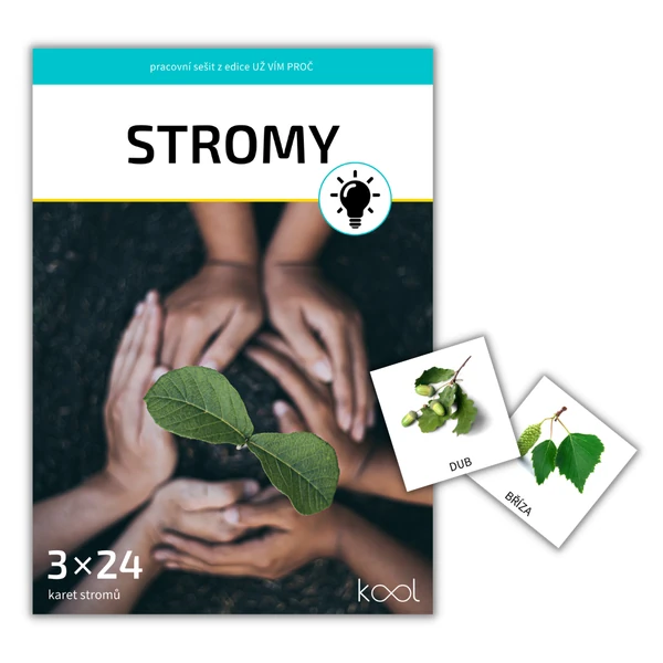 Stromy