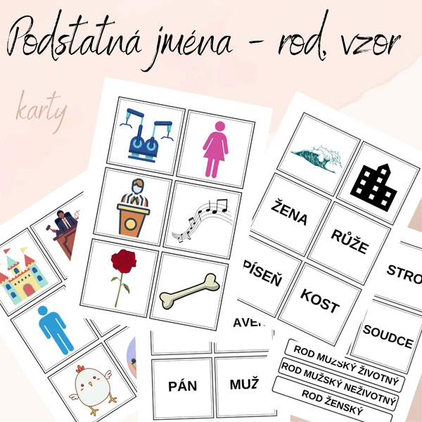 Podstatná jména - rod, vzor