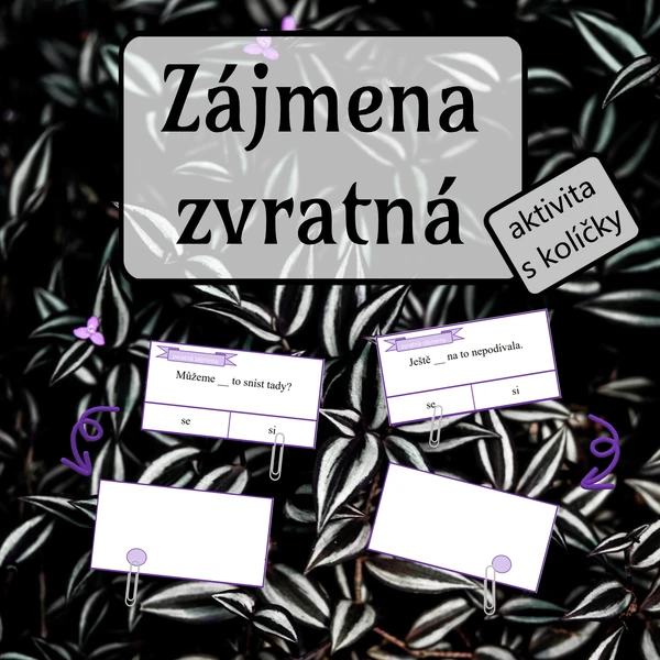 Zvratná zájmena - aktivita s kolíčky