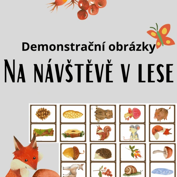 Dem. obr. - Na návštěvě v lese