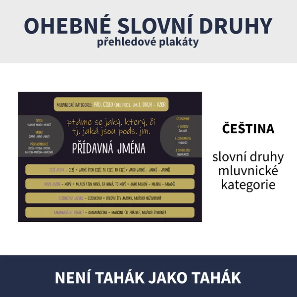 ČESKÝ JAZYK - OHEBNÉ SLOVNÍ DRUHY (tvarosloví, přehled podstatná jména, přídavná jména, zájmena, číslovky, slovesa)